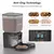 Newpet Alimentador Automático para Animais de Estimação 8L Versão com Botão - comprar online