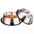 Comedouro Pet Bebedouro 150ml Bowl em Aço inox Pote Dog 15cm - loja online