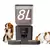 Newpet Alimentador Automático para Animais de Estimação 8L Versão com Botão na internet