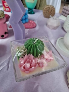 Vela Terrario en internet
