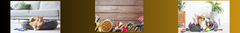 Banner da categoria Pet