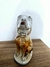 Cachorro em Porcelana na internet
