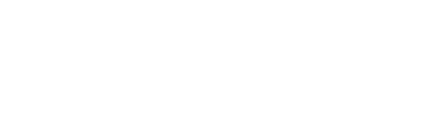 Anestessy