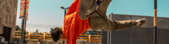 Banner da categoria Meias