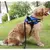Peitoral para Cachorro estilo policial K9 -