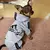 Roupa - Macacão esportivo para pets na internet