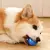 Brinquedo Rolling Ball bola automática com carregadores USB - Cão - loja online