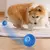 Brinquedo Rolling Ball bola automática com carregadores USB - Cão - Rastroo Pet Loja