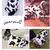 Roupa - Roupa quente com estampas divertidas para pets - Rastroo Pet Loja