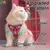 Passeio - Conjunto de arnês e coleira ajustável e á prova de fugas para gatos - comprar online