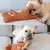 Imagem do Brinquedo de pelúcia dinossauro para cachorro