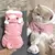 Roupa - Roupa quente com estampas divertidas para pets