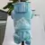 Roupa - Macacão esportivo para pets na internet