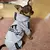 Roupa - Macacão esportivo para pets na internet