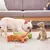 Brinquedo de pelúcia dinossauro para cachorro na internet
