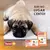 Kit 2 Tapete Higiênico Descartável Para Cães - 7un cada pacote - 60X80 - Sanol Dog - loja online