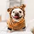 Roupa - Roupa quente com estampas divertidas para pets na internet