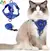 Passeio - Conjunto de arnês e coleira ajustável e á prova de fugas para gatos na internet