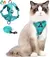 Imagem do Passeio - Conjunto de arnês e coleira ajustável e á prova de fugas para gatos
