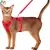 Passeio - Conjunto de arnês e coleira ajustável e á prova de fugas para gatos