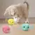 Brinquedos do gato inteligente bola interativa catnip - Rastroo Pet Loja