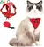 Passeio - Conjunto de arnês e coleira ajustável e á prova de fugas para gatos