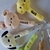 Caneta Fofa - Animais
