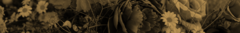 Banner de la categoría Dama