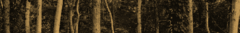 Banner de la categoría Fresco