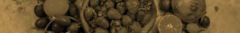 Banner de la categoría Frutal