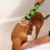 Imagem do Ajustável de alta pressão spray bocal mangueira, Dog Shower Gun, Pet Wash Limp