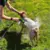 Ajustável de alta pressão spray bocal mangueira, Dog Shower Gun, Pet Wash Limp