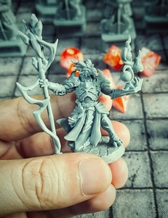 KIT DRAGONGUARD