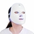 Mascara Facial LED