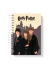Caderno espiral com capa ilustrada dos personagens Harry, Hermione e Ron em frente ao castelo de Hogwarts, com o título Harry Potter