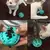 Bola interativa para Cães