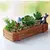 Vaso de plantas retrô para jardim - comprar online