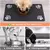 Tapete de alimentação para Pets