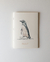 Libreta Pingüino de Magallanes - comprar online