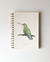 Cuaderno Picaflor verde - comprar online