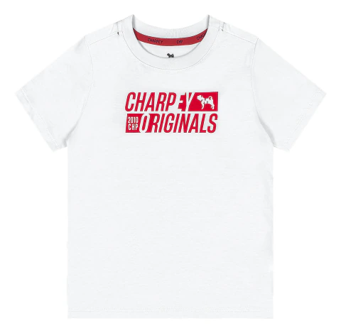 CAMISETA MASC