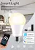 Lâmpadas LED Inteligentes 110v / 220 v - Cozylife na internet