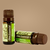 Óleo essencial Alecrim 10ml - comprar online