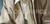 Banner de eterno