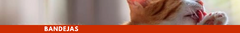 Banner de la categoría Bandejas