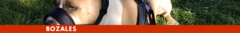Banner de la categoría Bozales