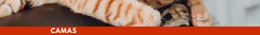 Banner de la categoría Camas
