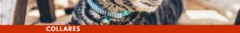 Banner de la categoría Collares
