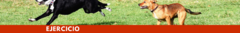 Banner de la categoría Ejercicio