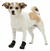 Botas Perros Protectoras Antideslizante Walker Active XS-S - comprar online